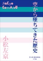 P+D BOOKS　空から墜ちてきた歴史