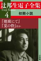 辻邦生電子全集 4巻 初期小説 『廻廊にて』『夏の砦』ほか
