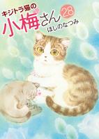 キジトラ猫の小梅さん (28)