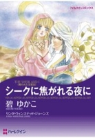 シークに焦がれる夜に