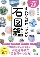 川や海で子どもと楽しむ きれいなだけじゃない石図鑑