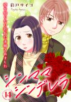 シンママシンデレラ 愛を知らない社長に求婚されました14
