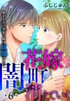 花嫁は、闇の町に消えていく 愛する夫の実家で嫁は奴隷でした6