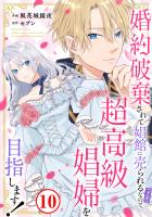 婚約破棄されて娼館に売られる(予定)なので、超高級娼婦を目指します!10