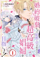 婚約破棄されて娼館に売られる(予定)なので、超高級娼婦を目指します!1