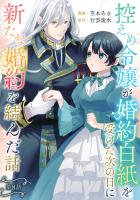 控えめ令嬢が婚約白紙を受けた次の日に新たな婚約を結んだ話 第8話