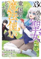偽りの聖女は竜国の魔法使いになりました（コミック）３