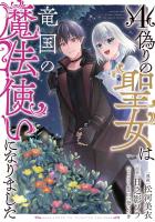 偽りの聖女は竜国の魔法使いになりました(コミック)4