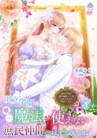 『王立学園で唯一魔法が使えない庶民仲間のはずですよね～実は王子様で私を溺愛しているなんて告白はやめてください～ 4』の電子書籍