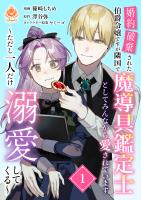 婚約破棄された伯爵令嬢ですが隣国で魔導具鑑定士としてみんなから愛されています～ただし一人だけ溺愛してくる～【合本版】1