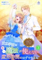 『王立学園で唯一魔法が使えない庶民仲間のはずですよね～実は王子様で私を溺愛しているなんて告白はやめてください～ 3』の電子書籍