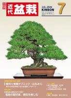 近代盆栽2026年7月号