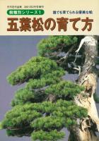 盆栽樹種別シリーズ１　五葉松の育て方