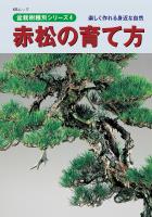 盆栽樹種別シリーズ４　赤松の育て方