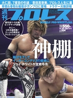 週刊プロレス 2017年 11/22＆29合併号 No.1930