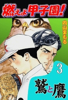 燃えよ甲子園!鷲と鷹3