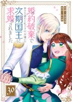 婚約破棄で幸せを諦めた私ですが、女嫌いの次期国王に求婚されました【単話版】（３０）