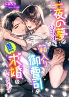 一夜の夢のつもりが、箱入り御曹司が重すぎる求婚をしてきます