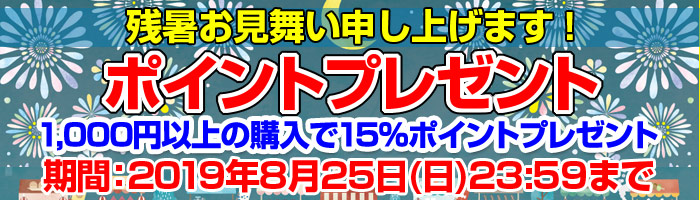 ポイントプレゼント!