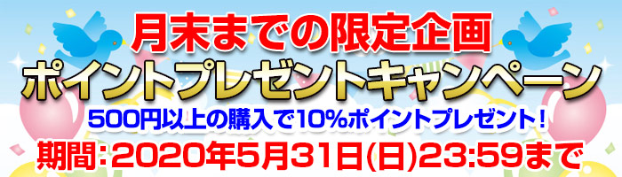 月末までの限定企画!ポイントプレゼントキャンペーン!