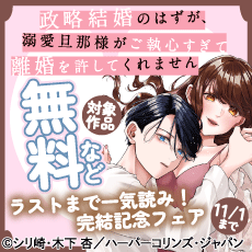 ラストまで一気読み！『政略結婚のはずが、溺愛旦那様がご執心すぎて離婚を許してくれません』完結記念フェア