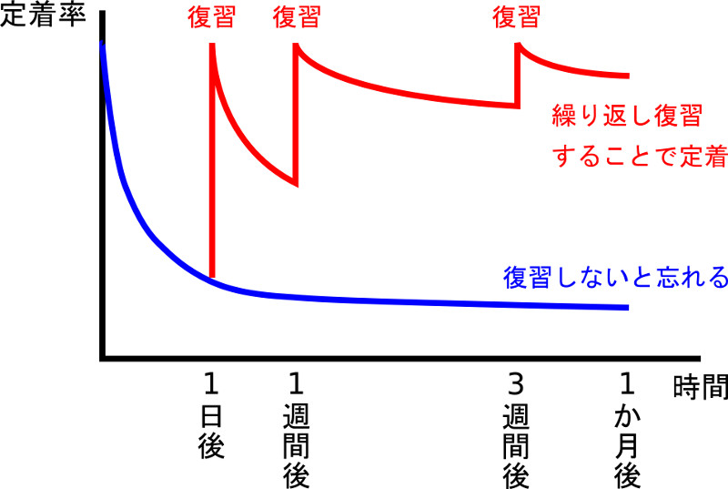 忘却曲線