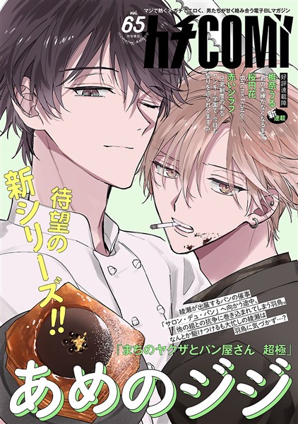 カチＣＯＭＩ vol.65