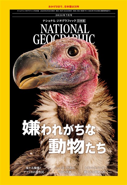 ナショナル ジオグラフィック日本版 2025年7月号