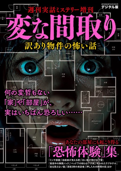 週刊実話 増刊 変な間取り