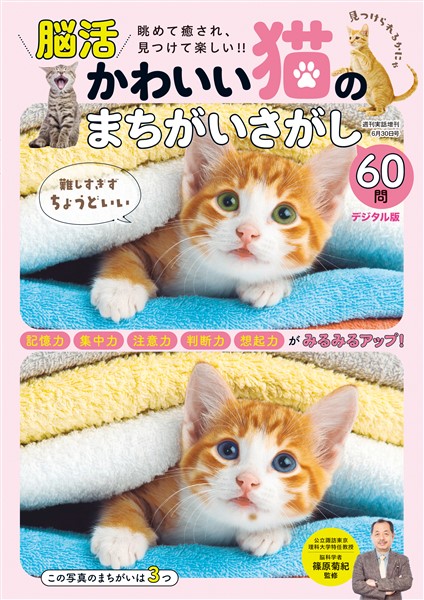週刊実話 増刊 かわいい猫のまちがいさがし