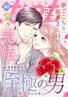 ｃｏｍｉｃ　ｔｉｎｔ ｖｏｌ．１０１