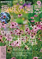 ＮＨＫ 趣味の園芸  2025年11月号