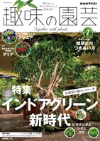 ＮＨＫ 趣味の園芸  2026年7月号