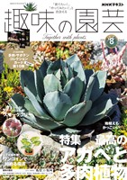 NHK 趣味の園芸 2026年8月号