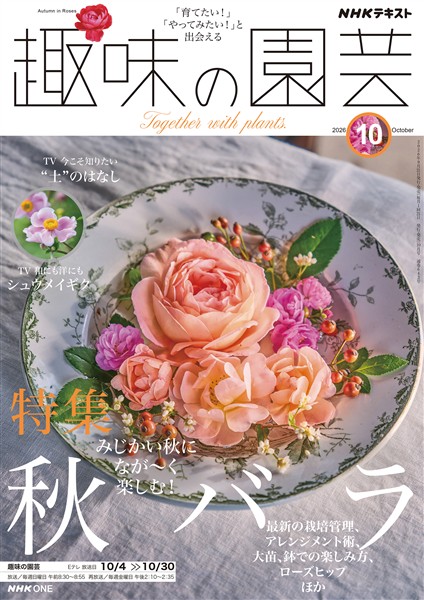 ＮＨＫ 趣味の園芸  2026年10月号