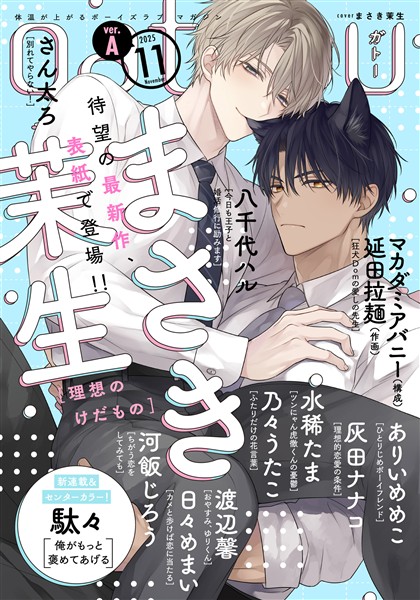 gateau (ガトー) 2025年11月号[雑誌] ver.A