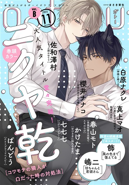 gateau (ガトー) 2025年11月号[雑誌] ver.B