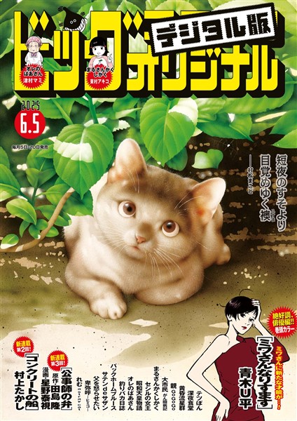 ビッグコミックオリジナル 2025年11号（2025年5月20日発売)