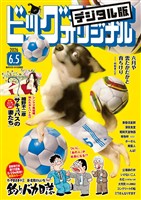 ビッグコミックオリジナル 2026年11号（2026年5月20日発売)