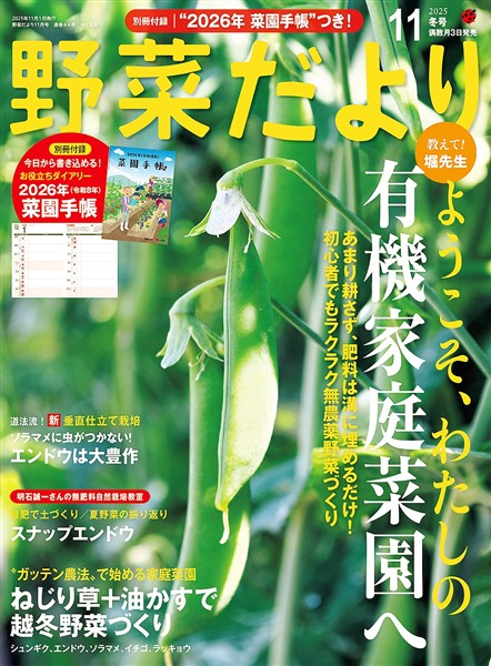 野菜だより (2025年11月号)