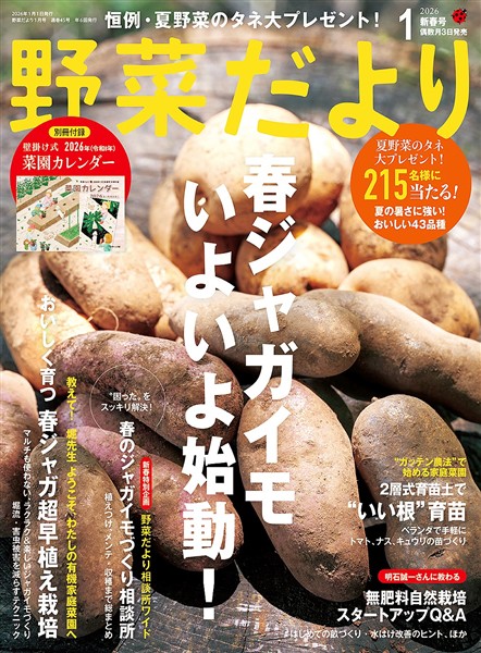 野菜だより (2026年1月号)