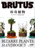 BRUTUS (ブルータス)  2025年 5月15日号 No.1030