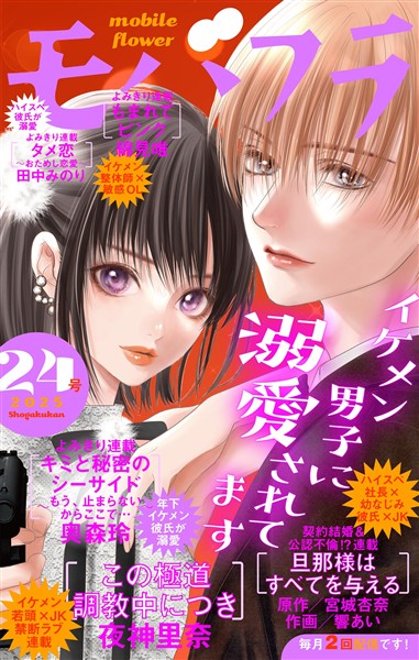 モバフラ 2025年24号