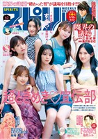 【雑誌 懸賞当選品】ビッグコミックスピリッツ 29号 堀江聖夏 サイン色紙 雑誌 懸賞当選品】ビッグコミックスピリッツ 29号 堀江聖夏