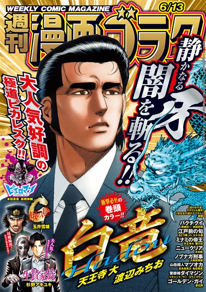 漫画ゴラク 2025年 6/13 号