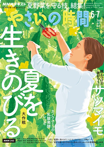 ＮＨＫ やさいの時間  2026年6月・7月号