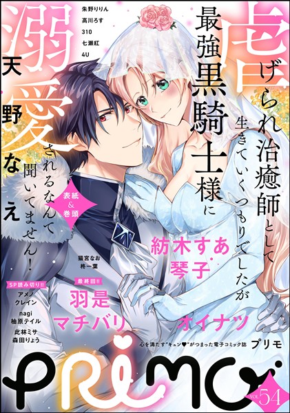 PRIMO Vol.54
