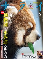 サライ 2026年6月号