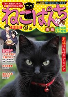 ねこぱんち No.219 夏の花火と涼みネコ号