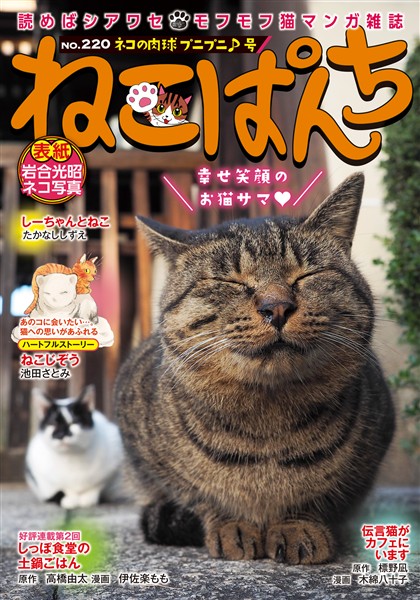 ねこぱんち No.220 ネコの肉球プニプニ♪号